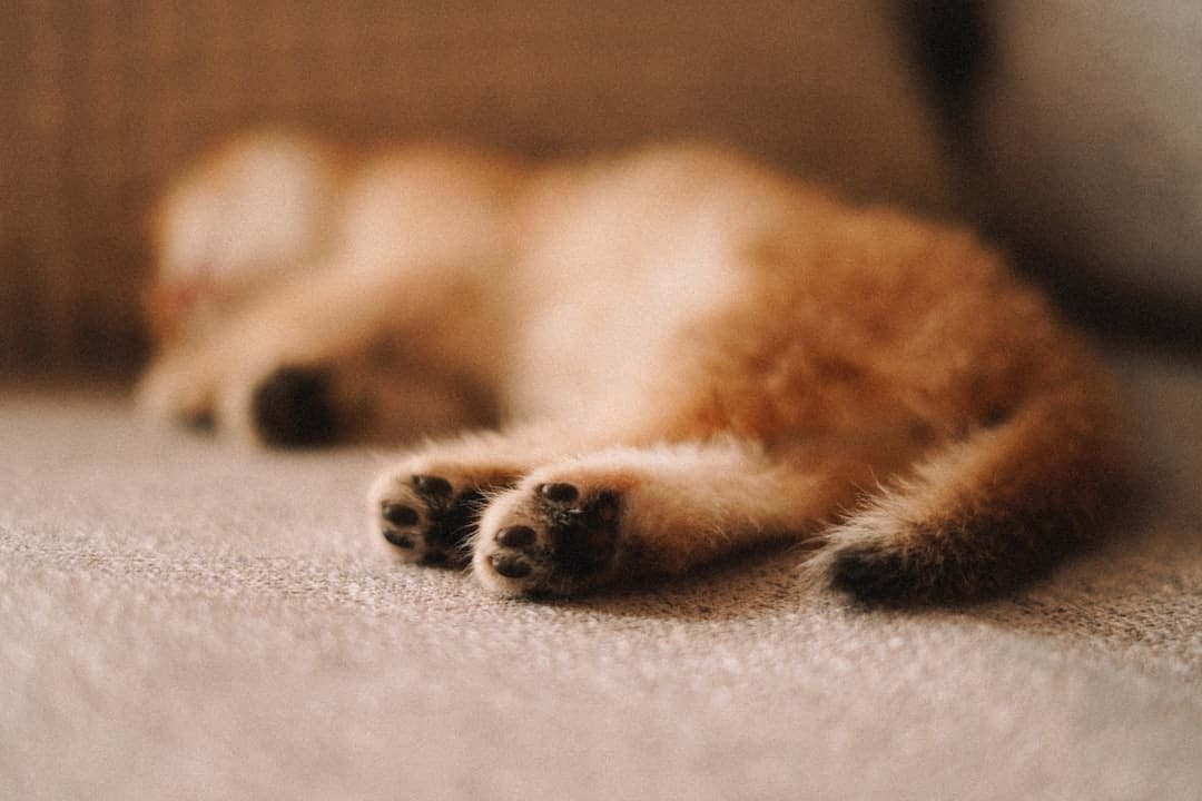 以色列突发！机场遭到导弹突击